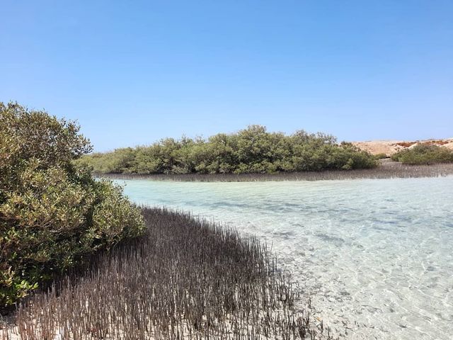 「拉斯穆罕默德國家公園（Ras Mohammed National Park）——紅海潛水天堂」