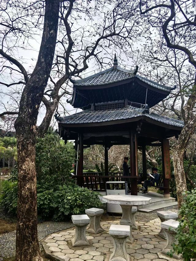 南寧寶藏小眾0元公園｜金花茶公園