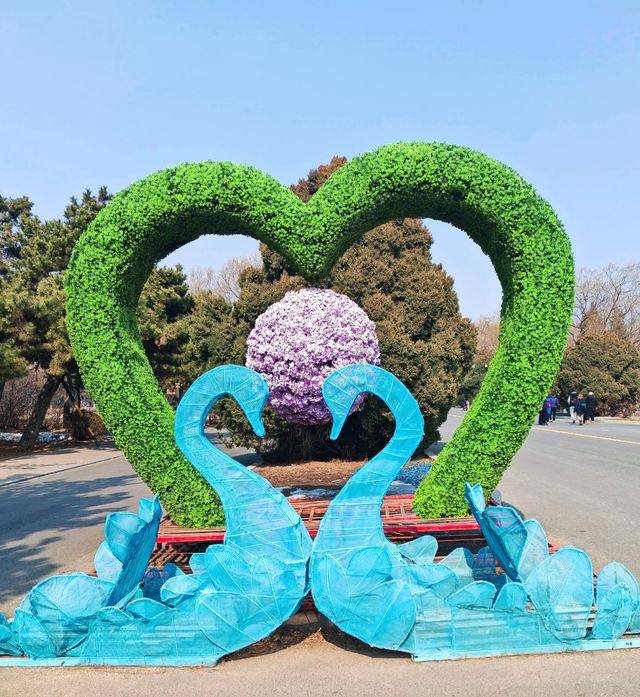 想你的風吹到了北陵公園