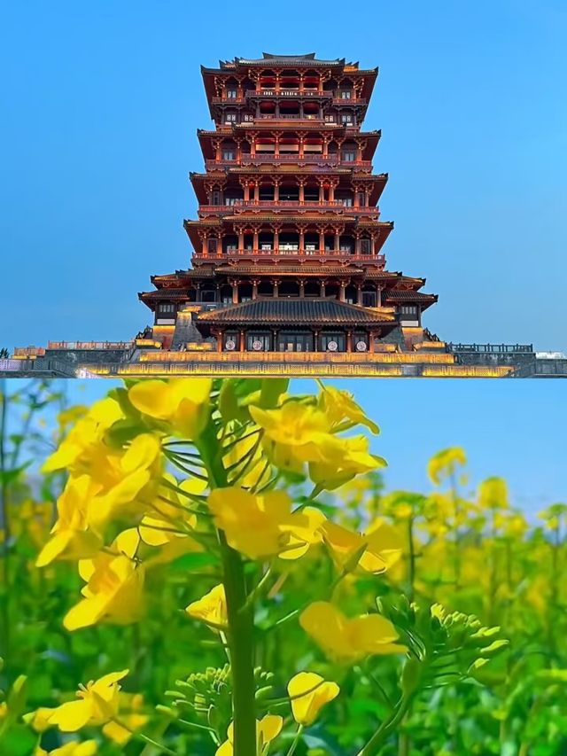 3月的漢中，真心推薦去。
