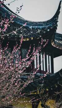 江蘇蘇州昆山，千燈古鎮