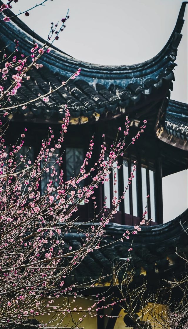 江蘇蘇州昆山，千燈古鎮