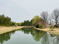 上海辰山植物園