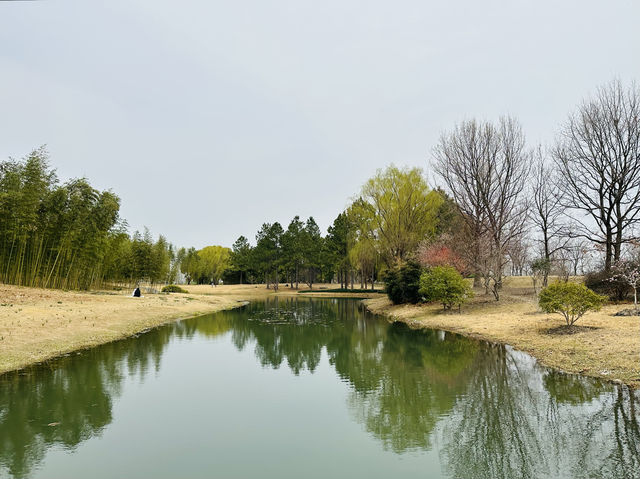 上海辰山植物園