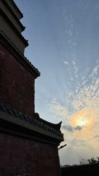廣州博物館｜三小時觀展賞木棉懶人路線