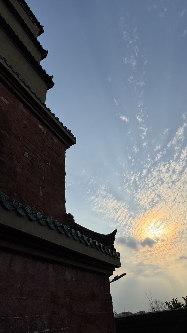 廣州博物館｜三小時觀展賞木棉懶人路線