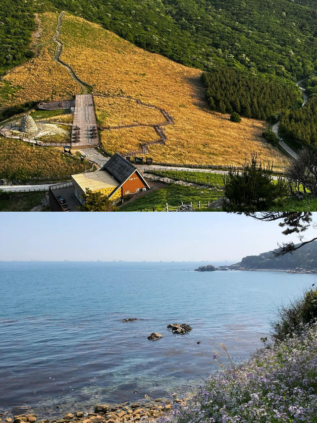 蔚山｜解鎖韓國小眾寶藏的夢幻之旅