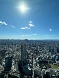 清明節出遊無煩惱：5天玩盡日本超完整攻略