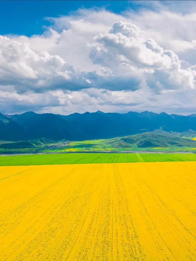 7일간의 하이베이 여행, 꼭 소장해야 할 자세한 여행 가이드