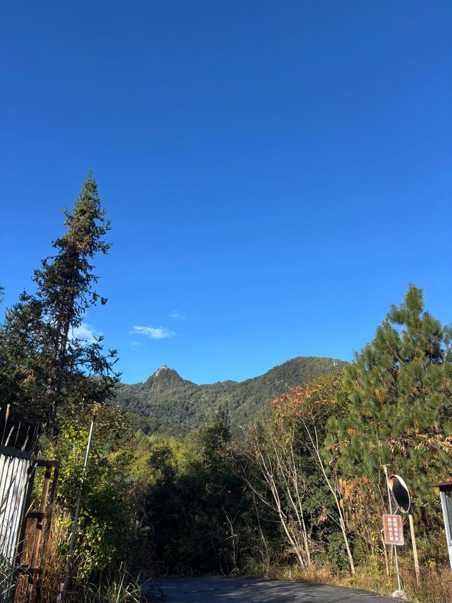隨州雲峰山——藏喺山霧入面嘅綠野仙蹤