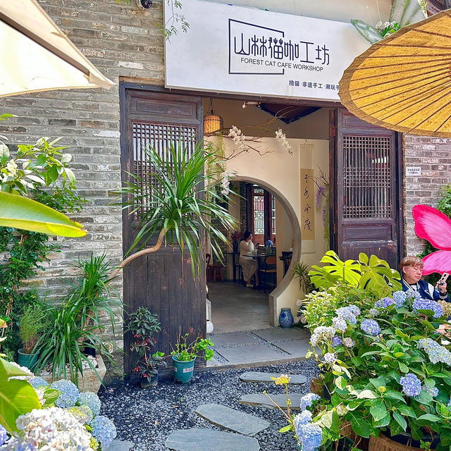🌼深圳驚喜新店 | 甘坑古鎮的秘密花園🦋