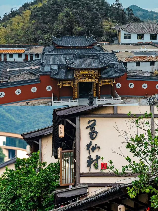 上個週末去咗葛仙村，朋友圈嘅人都問爆咗，因為…
