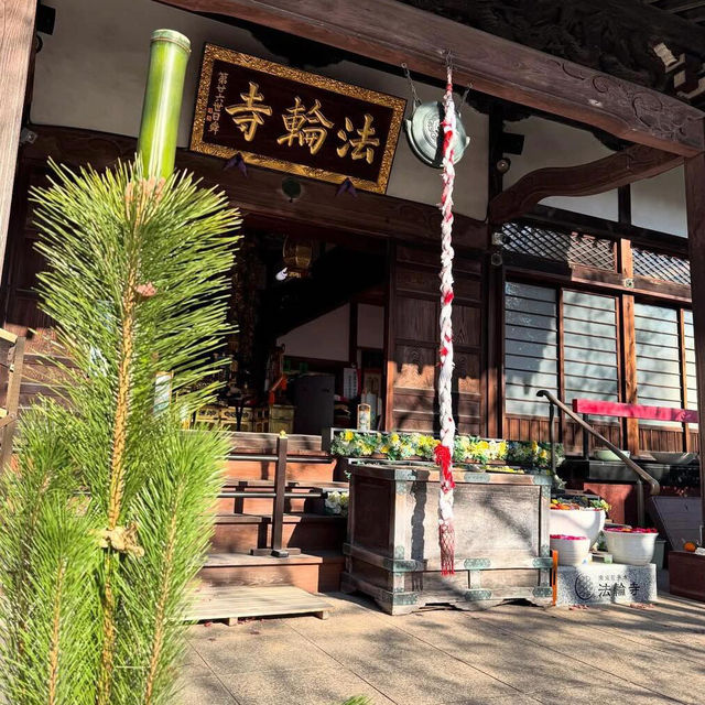 東京一定要帶走的！法輪寺御守！