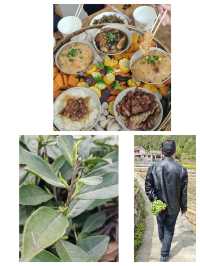 “桃之夭夭，灼灼其華”
