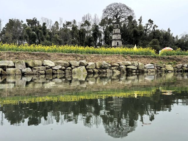 望亭花海