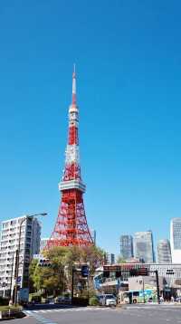 東京タワーと桜の絶景