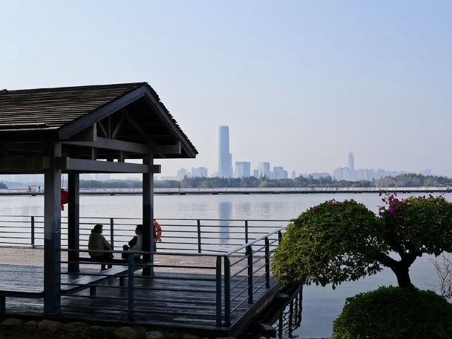 集美湖：都市中的詩意桃源
