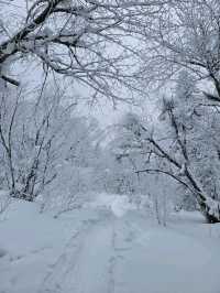 雪谷三天两晚旅游攻略不踩雷  二刷雪谷👍