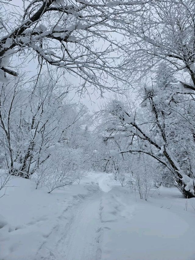 雪谷三天两晚旅游攻略不踩雷  二刷雪谷👍