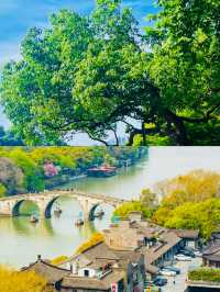 小河直街推薦必去嘅地方