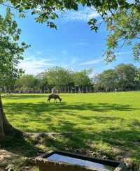 良渚公園
