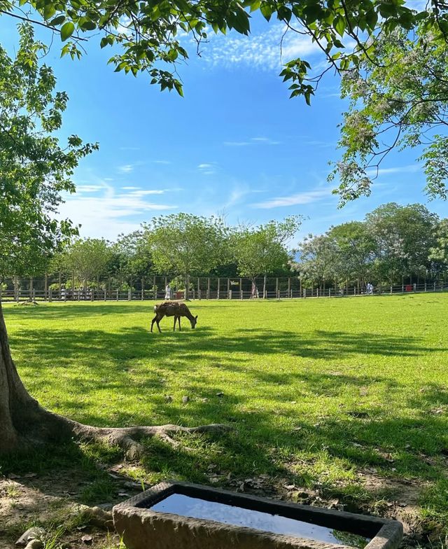 良渚公園