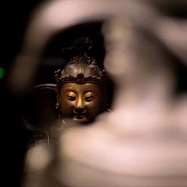 遼博一日漫遊：在老館裡淘點年輕的趣