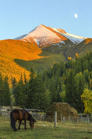 Only 3 seats left! Xinjiang private jet tour departing soon