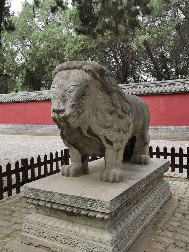 【河南安陽市】袁林自駕遊。