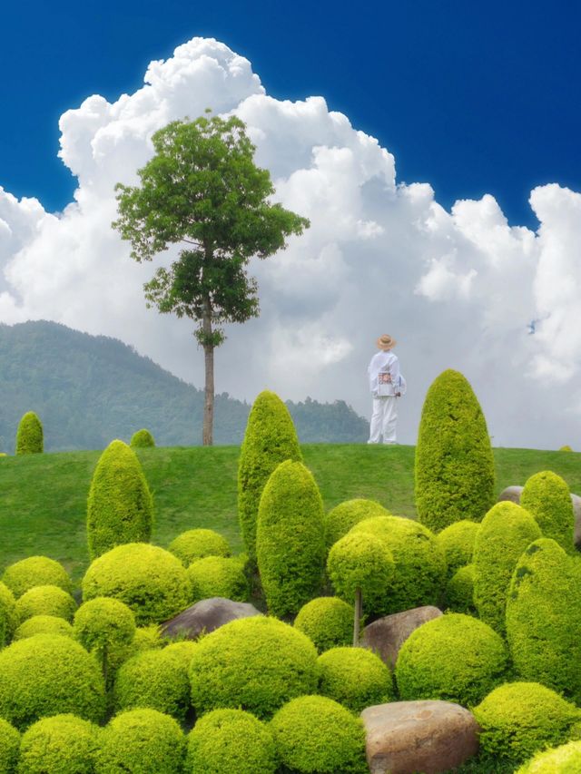 不是夢境是溫州真實存在的夢核莊園