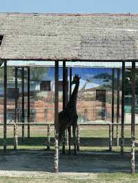 五月出遊第一站，秦嶺野生動物園嗨翻天！