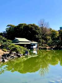 東京清澄白河深度漫遊交通攻略：穿梭古今的文化散步之旅