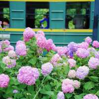 杭州必去！白塔公園隱藏版浪漫打卡地✨