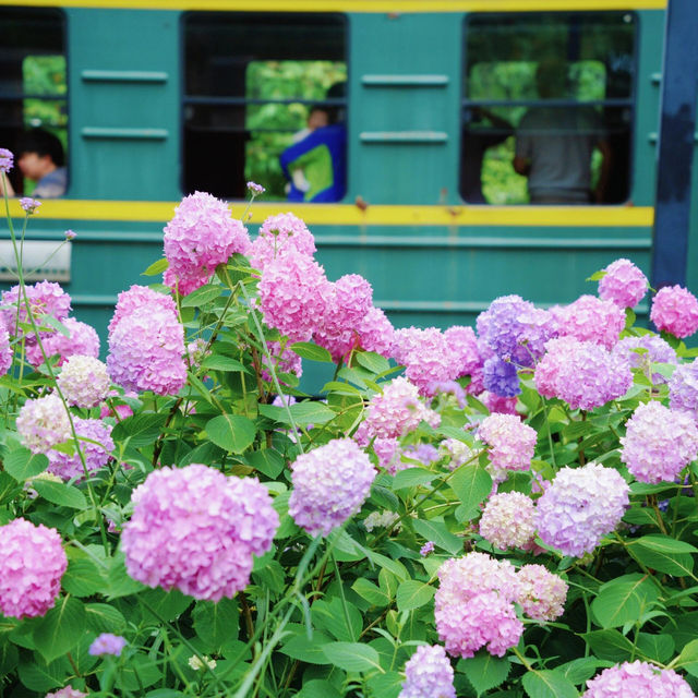 杭州必去！白塔公園隱藏版浪漫打卡地✨