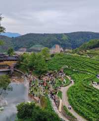 泰順筱村公社：繡球花海與童話世界