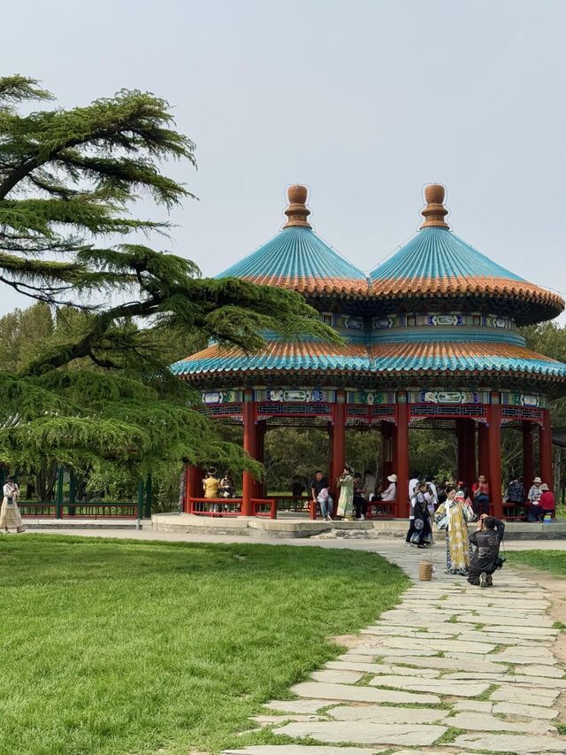天壇公園：都市中的綠色能量場