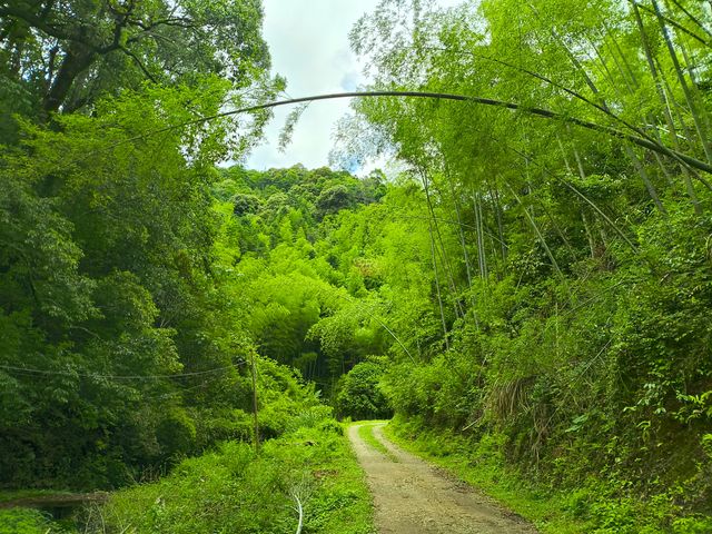 探索清流溫家山