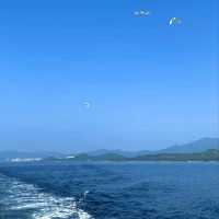 ✨塔門島真係隱世寶藏啊！！