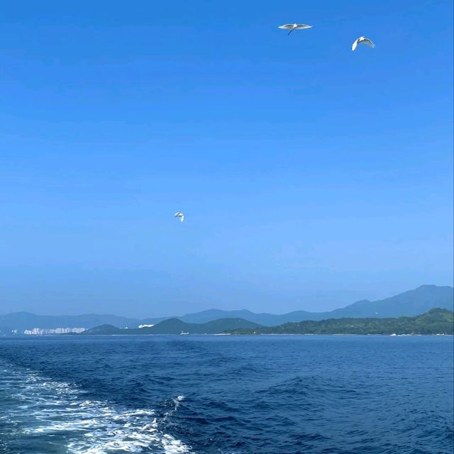 ✨塔門島真係隱世寶藏啊！！