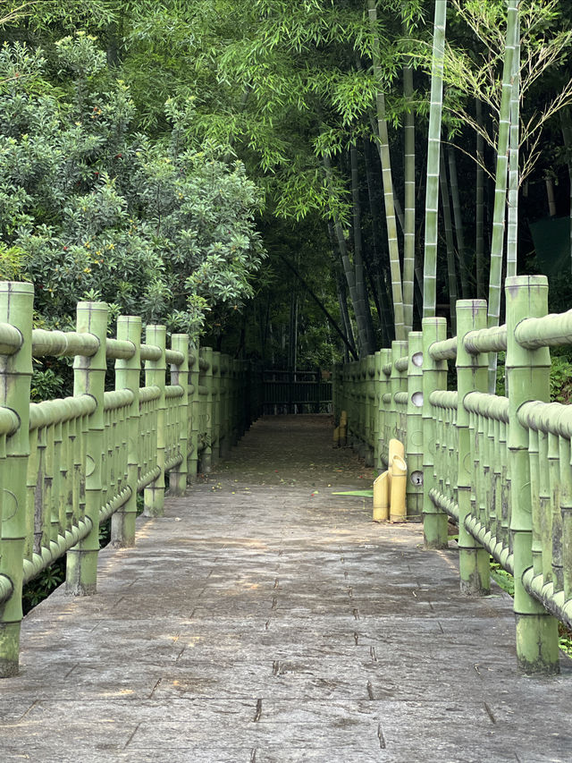 崇義三日兩夜攻略收好喇