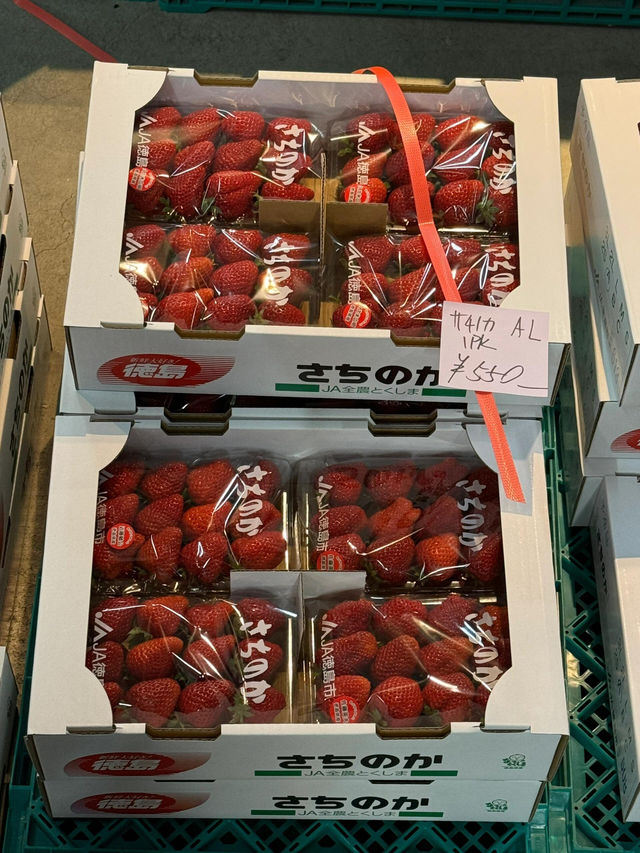 藏不住了！大阪本地人私藏的木津市場，錯過真的會哭😭