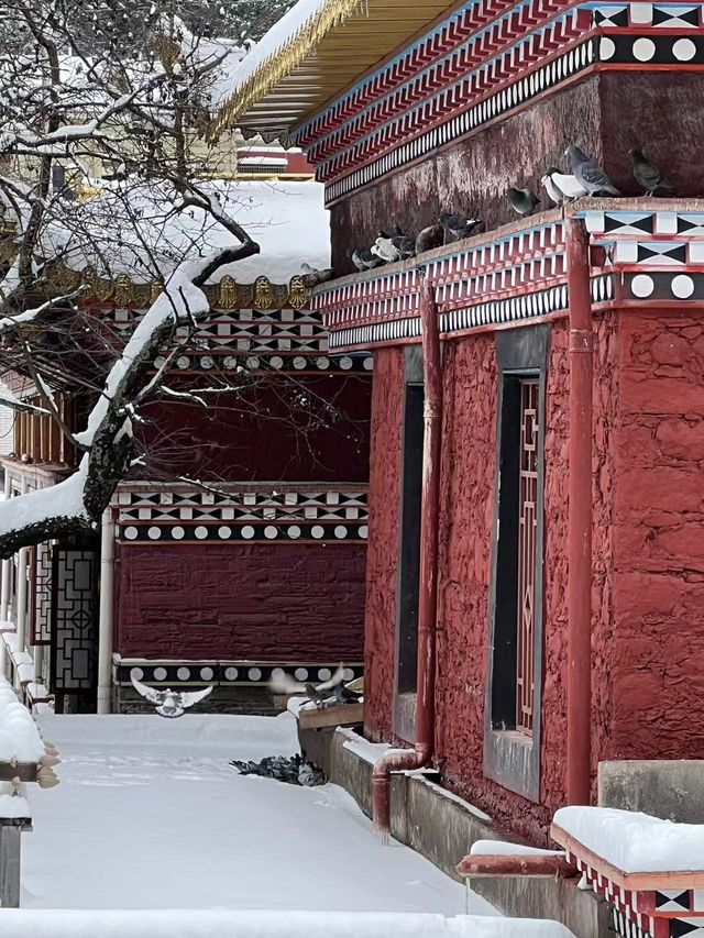 康定藏文化酒店——心靈棲居，聖境之間