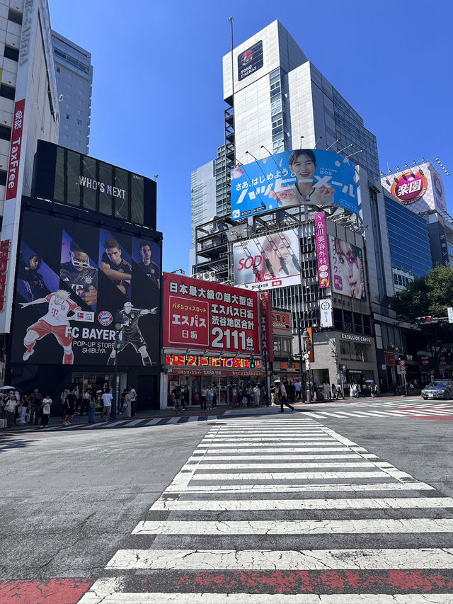 Budget The Big City, Top Tokyo Tips! Not As Expensive As You Think 💰 🤩 