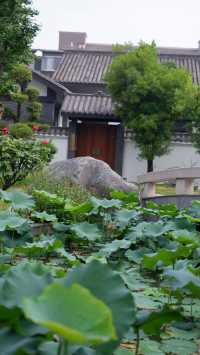 故園今夢 | 入住盛夏嘅莊昇曉月園林酒店