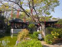 泰州喬園丨呢座500歲嘅小眾園林，點解會被遺忘！