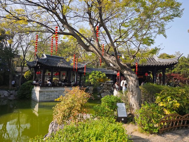 泰州喬園丨呢座500歲嘅小眾園林，點解會被遺忘！