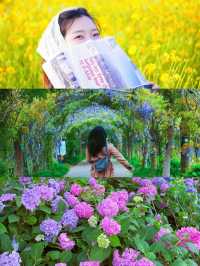 揚州，住進繡球花海同森林包圍嘅莊園