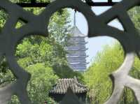 蘇杭四天三晚只需600+的旅行