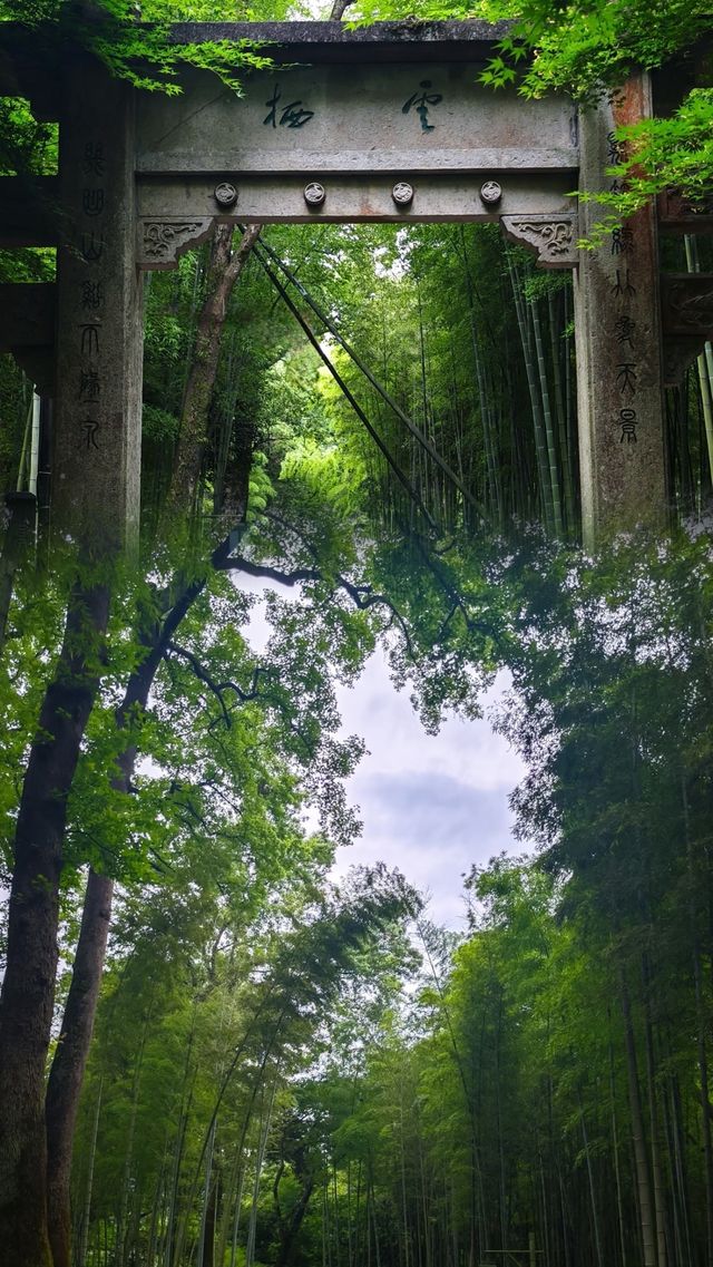 竹海吸氧計劃：杭州雲棲竹徑避暑勝地