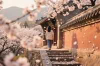 醫巫閭山青岩寺2日1夜！探秘遼代古剎，避暑祈福攻略